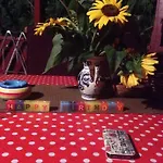 Apartman Mg