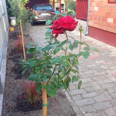 Апартаменты Mg *