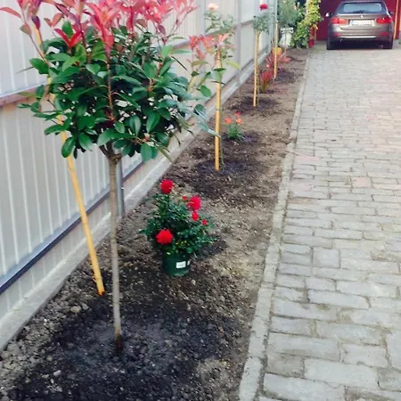 Апартаменты Mg *