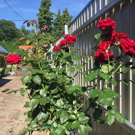 Mg Апартаменты Фоньод