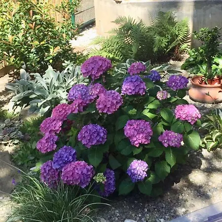 Апартаменты Mg