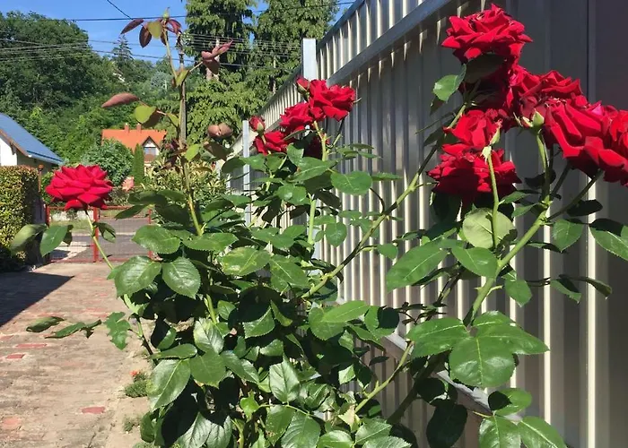 Mg Apartamento Fonyód